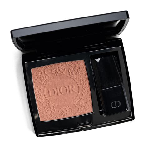 dior rouge blush review|dior precious rose blush.